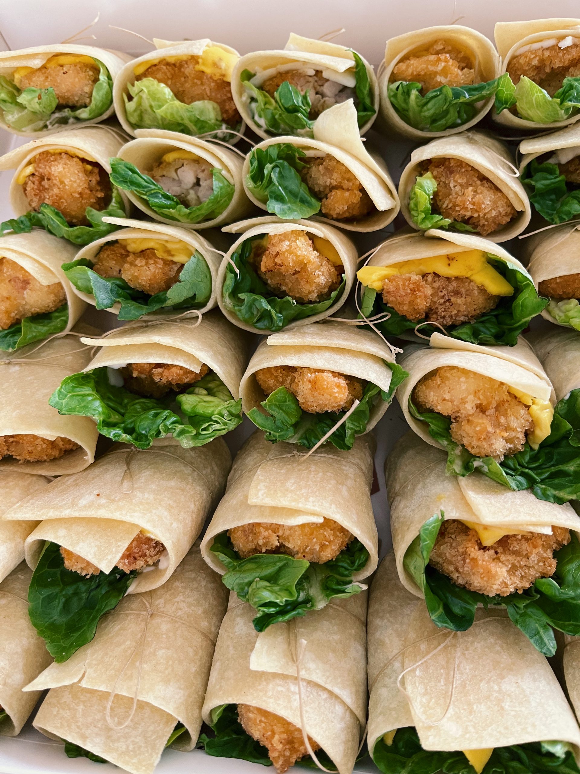 مینی ترتیلا سوخاری
